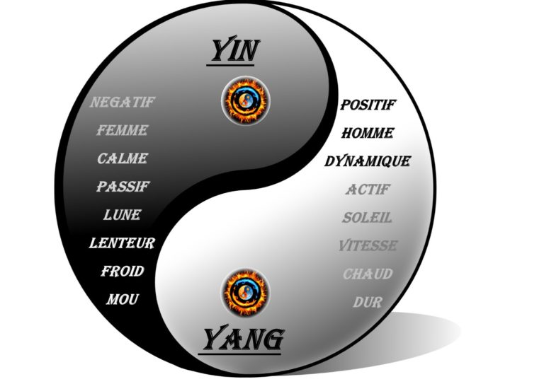 Le Yin Et Le Yang Explication - Image to u